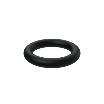 O-Ring 955974